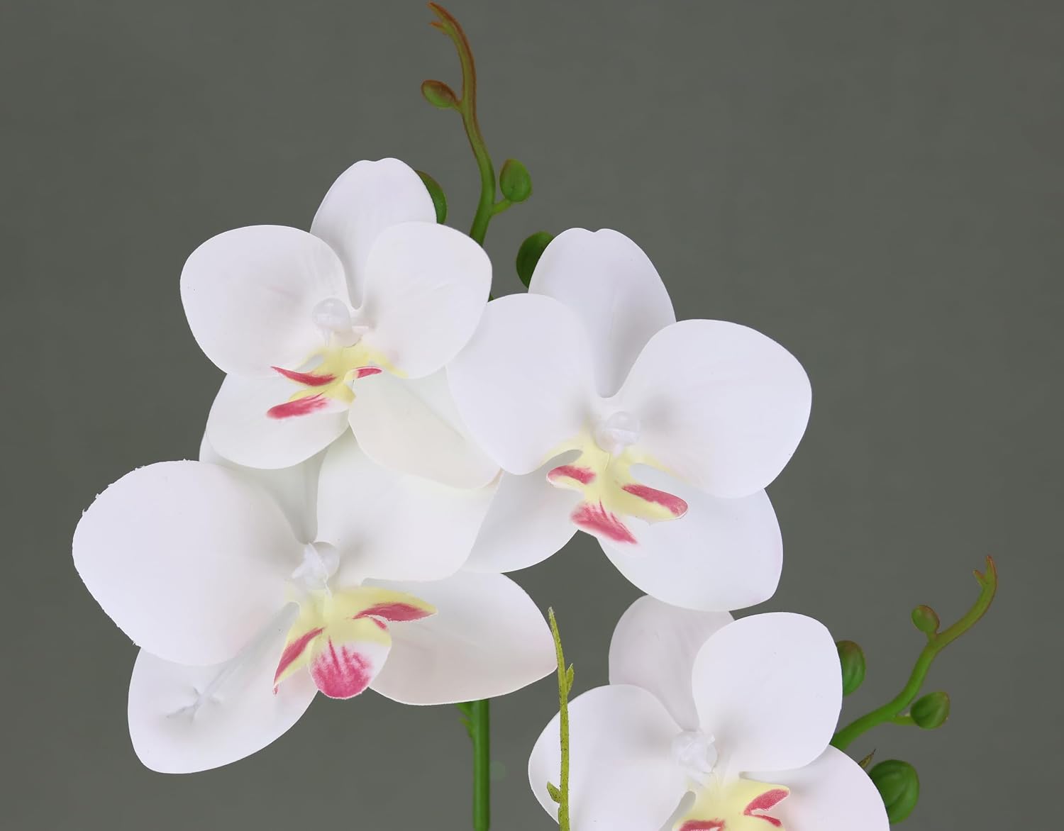 Artificial Flower Butterfly Orchid with Leaves and Aerial Roots in Ceramic Pot Artificial Flower Artificial Orchid Phalaenopsis with Planter Artificial Plant Wedding Decoration Silk Flower Real Touch Flower – Bild 4