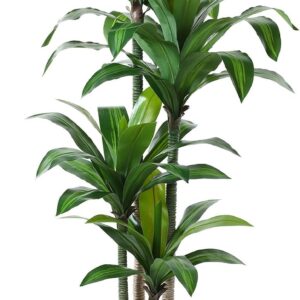 Kazeila Artificial Dragon Tree 180 cm with White Pot for Indoor Use
