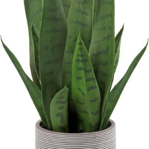 Briful Sanseveria Artificial Indoor Plant Decorative Plant Height 40 cm in Cement Pot