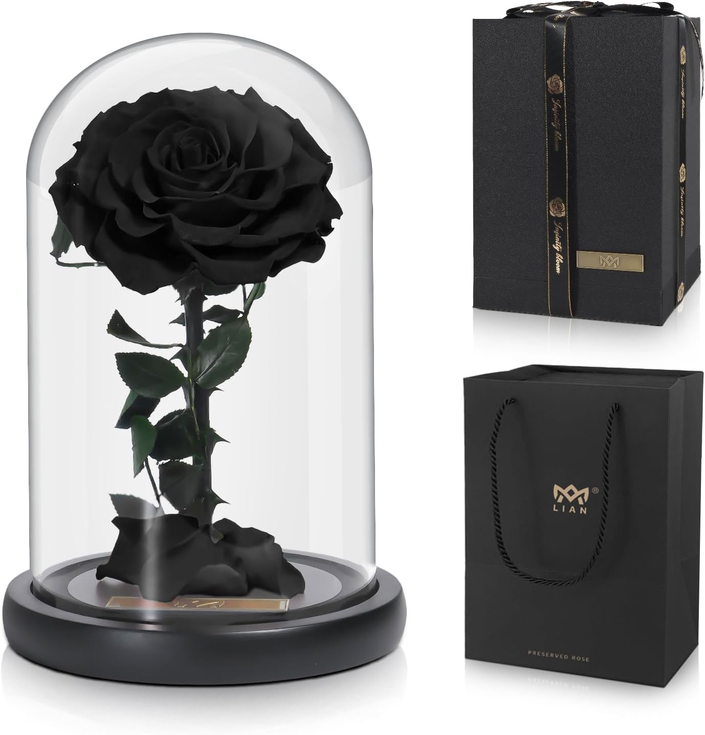 Lian Preserved Flower Real Rose in Glass Dome Gifts for Wife