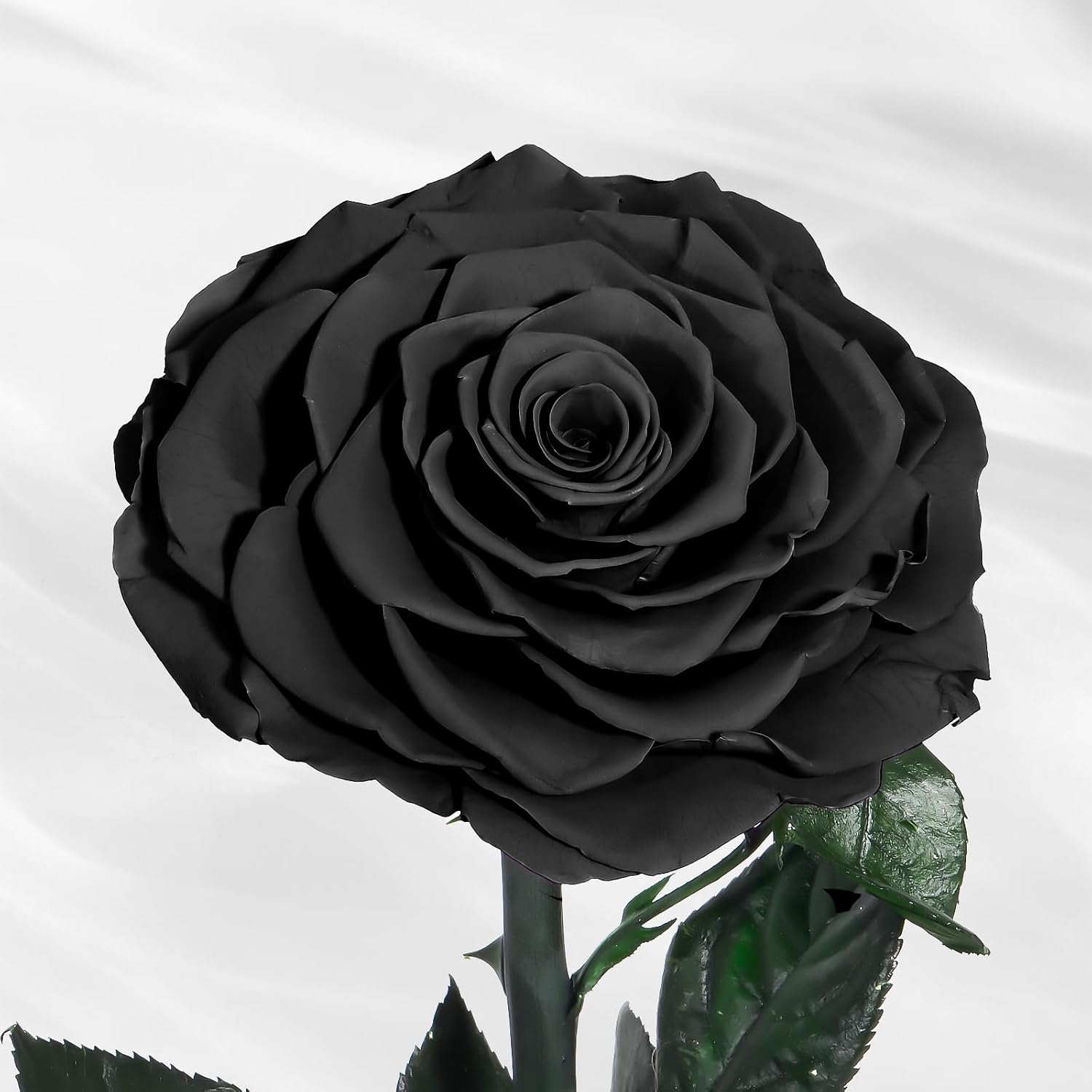 Lian Preserved Flower Real Rose in Glass Dome Gifts for Wife – Bild 5