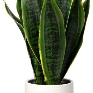 Artificial Sansevieria Indoor Plant Artificial Plant Like Real Decorative
