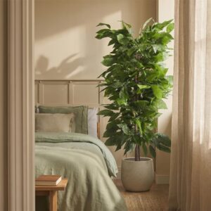Blaine – Artificial Mango Tree Plant 150 cm