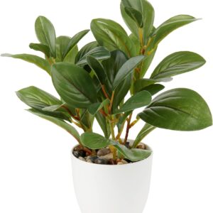 Briful Artificial Indoor Plant Camellia Artificial Plant Camellia Japonica in Plastic Pot Decorative Silk Flowers Camellia Artificial Flowers for Home Hotel Decoration