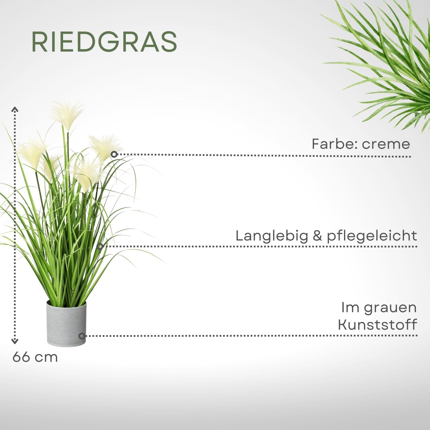 Artificial Riedgrass, 66 cm in White Pot, Lifelike Wild Grass in Pot, Pampas Grass for Indoors, High-Quality and Decorative Decorative Plant, Grass Bush for Indoors, Lifelike Artificial Plant – Bild 2