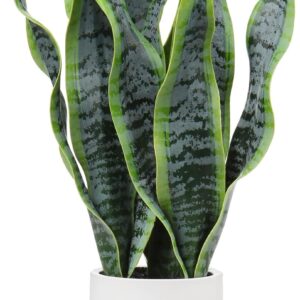 Briful Artificial Sansevieria Indoor Plant, Decorative Plant in White Ceramic Pot, Height 40.6 cm