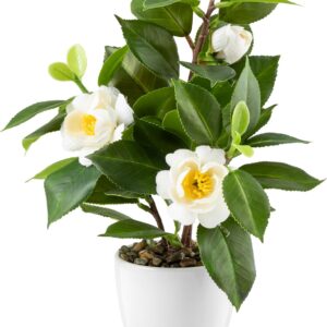 PASCH Camellia in High-Gloss Ceramic Pot, Artificial Flowers in Pot, Artificial Flowers Like Real, Fake Flowers, Artificial Flowers Like Real (Camellia Japonica White, 29 cm)