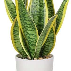 Sansevieria Artificial Plant in Ceramic Pot, Small Indoor Plant, Artificial Snake Plant, Artificial Plants Like Real, Perfect for Bathroom, Bedroom, Home, Office Decoration, Height 33 cm
