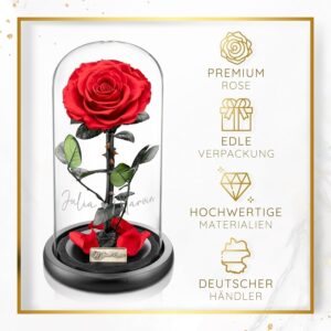 [Personalised] YourRoses Real Premium Rose in Glass with a Beautiful Gift Box, Long Durability and Elegant Gift as a Token of Love, A Gift from the Heart