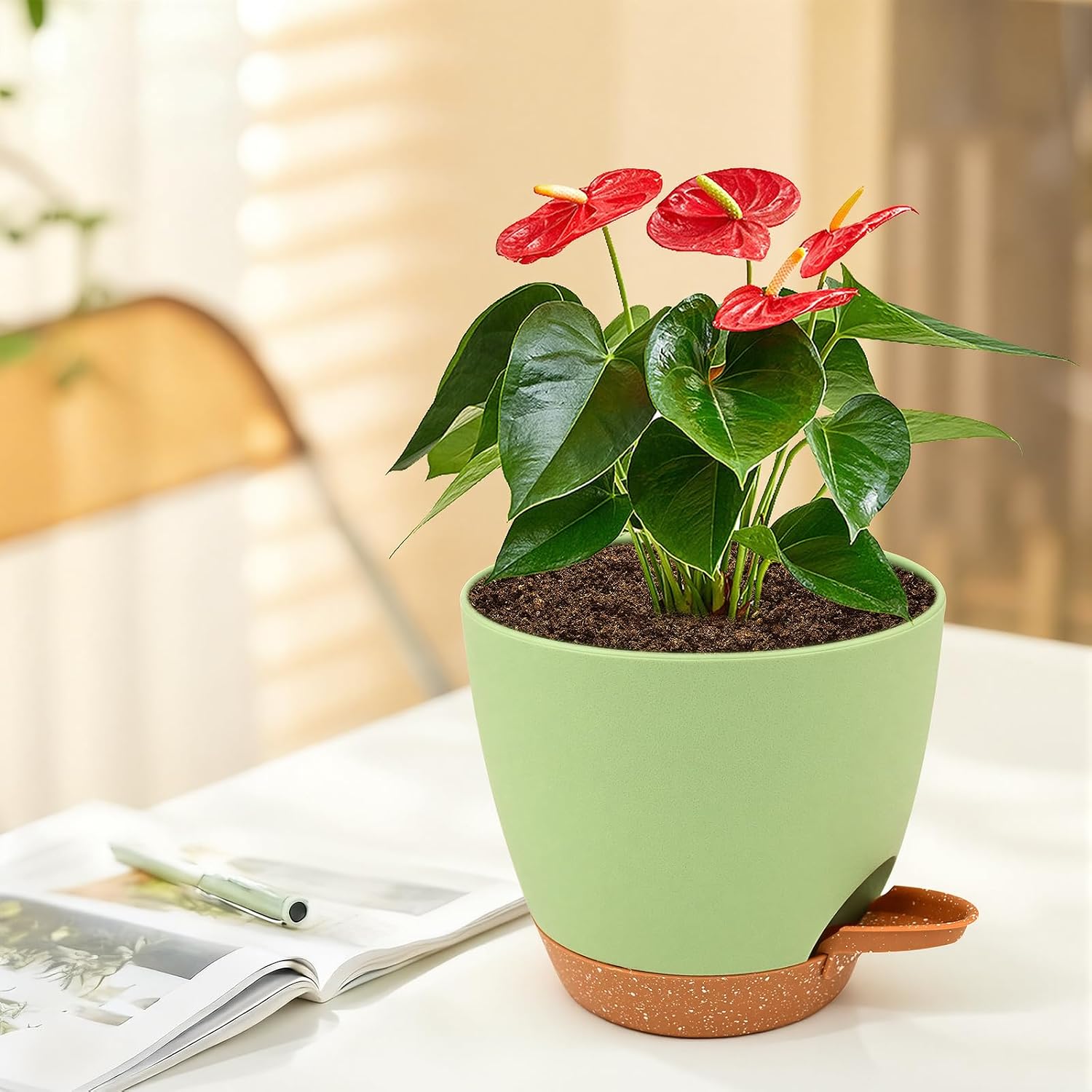 6 Packs Flower Pot, Plant Pot, Self-Watering 15.2 cm, with Brown Saucer, Watering Opening, Cotton Cord, Suitable for Indoor and Outdoor Gardens – Bild 8