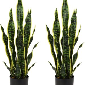 Hollyone 2 x Artificial Plants, Large, Height 64 cm, Artificial Sansevieria Decorative Living Room Plant, Indoor Plants, Balcony, Office Decoration, Artificial Plant for Home Garden, Office Decoration