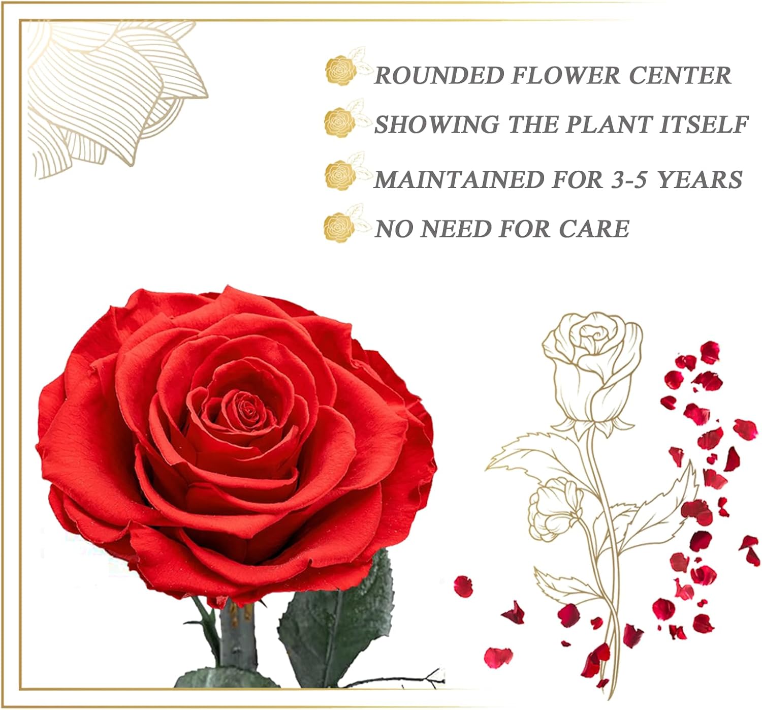 Real Eternal Premium Rose in Glass Dome for Mum, Infinity Rose – Bild 3