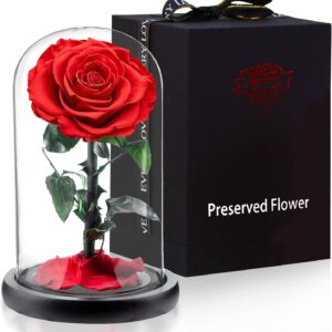 Real Eternal Premium Rose in Glass Dome for Mum, Infinity Rose