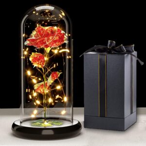 Touloube Gifts for Women, Galaxy Rose Flower Gift, Infinity Rose in Glass Dome, LED Fairy Lights on Crystal Rose, Gift for Women, Wedding, Mother’s Day, Anniversary and Birthday