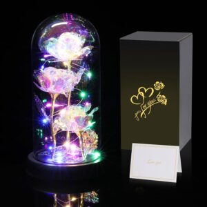 Touloube Gifts for Women, Infinity Roses in Glass with Light, Beauty and the Beast Rose Galaxy Rose Flower Gift, Beautiful Gifts for Mum, Grandma, Women, Birthday
