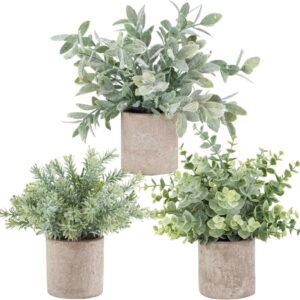Der Rose Pack of 3 Artificial Plants Like Real Eucalyptus Plants Fake Plants for Decoration Living Room Bedroom Room Wall Decoration Bathroom Decoration (Grey)