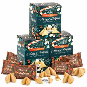 Food crew 36 x (3 x 12) lucky cookies Christmas speculatius - Christmas lucky biscuits with real speculatius spice - individually wrapped, advent calendar filling & secret Santa gift, vegan