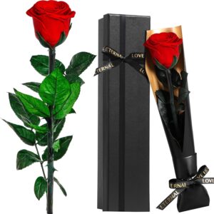 Touloube Eternal Infinity Roses Gift for Her, Red Rose Flowers Gifts for Women, for Mum, Girlfriend, Wife, Girlfriends, Eternal Rose, Birthday Gift, Anniversary Gift, Wife