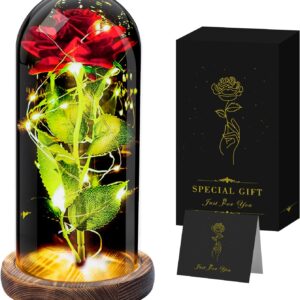 Eternal Rose, Rose in Glass with Light, Christmas Gifts Ideas