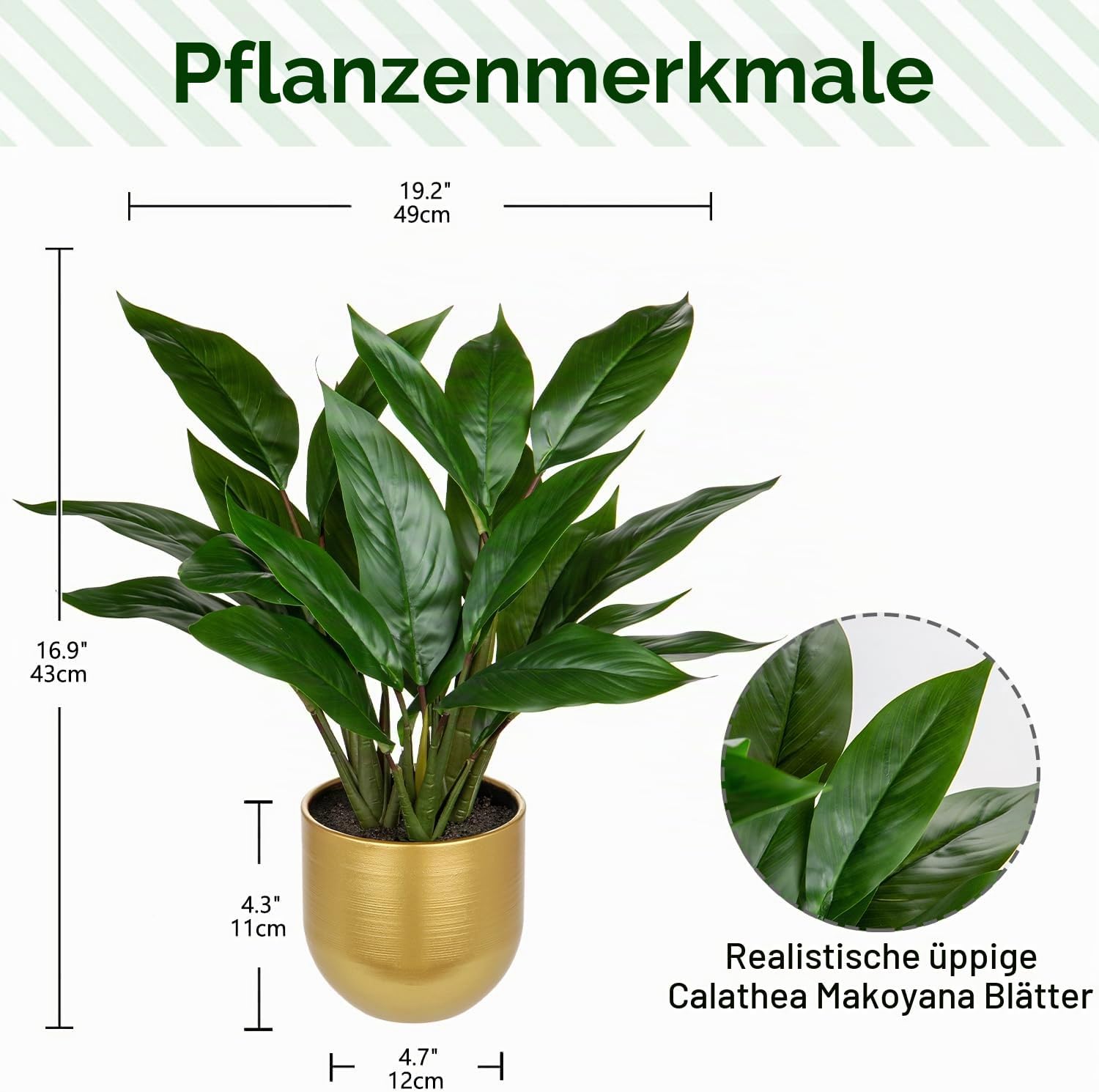 Briful Artificial Plant Like Real Artificial Plant Decorative Plant Calathea Bushy with 22 Leaves in Ceramic Pot Indoor Plant, Height 43 cm, Green – Bild 2