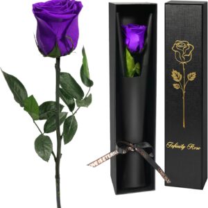 Yamonic Eternal Rose Gifts for Women, Infinity Rose with Stem, Birthday Gift Women, Real Rose in Gift Box, Gifts for Mum, Preserved Flower Gift, Valentine's Day, Christmas, Purple