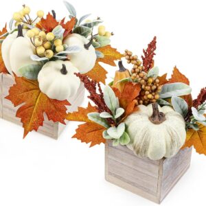Pack of 2 Artificial Pumpkin Autumn Decorations Rustic White Foam Pumpkins Decoration with Maple Leaves Berries in Wooden Box Halloween Thanksgiving Table Decoration Central Element