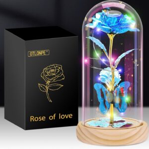 Otlonpe Gifts for Women, Eternal Glass Rose, Personalised Birthday Gift for Women, Girlfriend, Mum, Grandma, Wife, Valentine’s Day, Christmas, Mother’s Day