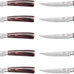 Steak Knife Set, 10 Pieces, Professional Chef's Knife, Ergonomic Wooden Handle, Serrated Edge, Kitchen Steak Knife Set
