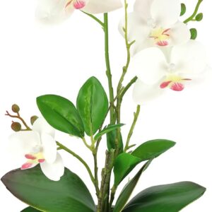 Artificial Flower Butterfly Orchid with Leaves and Aerial Roots in Ceramic Pot Artificial Flower Artificial Orchid Phalaenopsis with Planter Artificial Plant Wedding Decoration Silk Flower Real Touch Flower