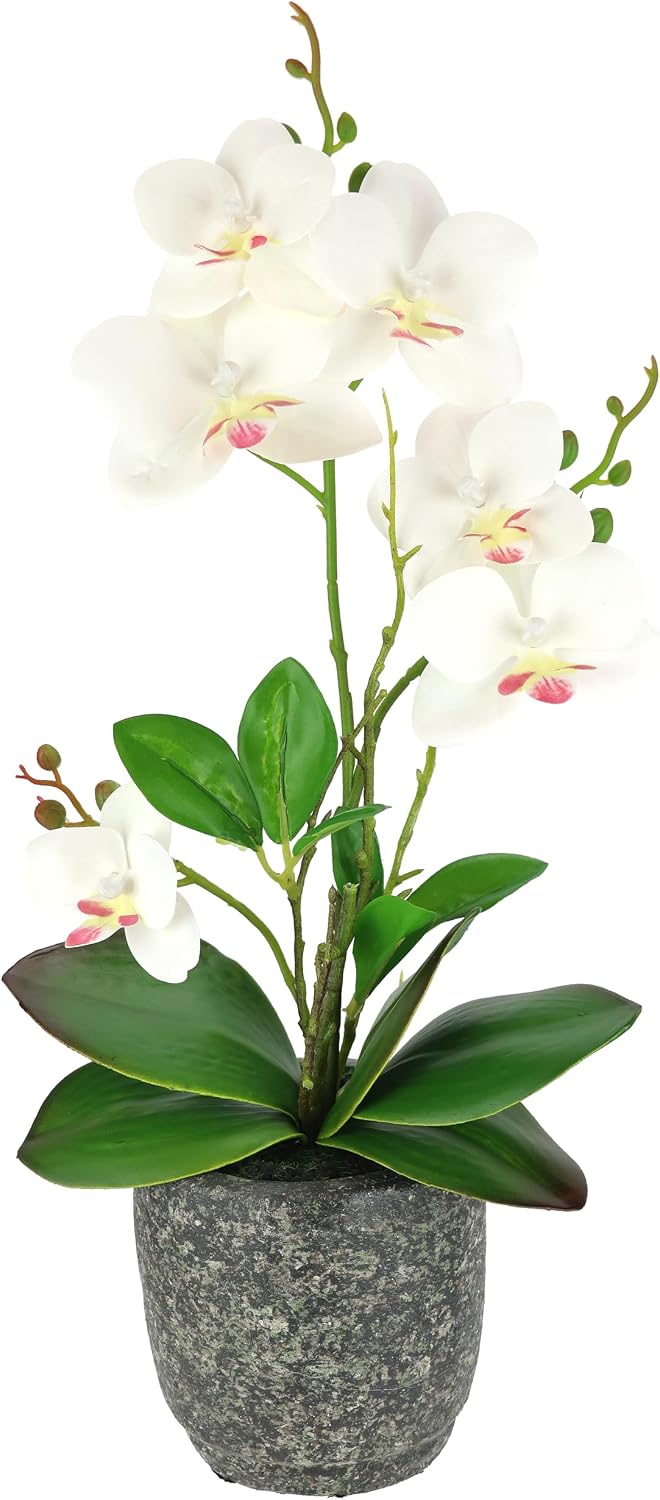 Artificial Flower Butterfly Orchid with Leaves and Aerial Roots in Ceramic Pot Artificial Flower Artificial Orchid Phalaenopsis with Planter Artificial Plant Wedding Decoration Silk Flower Real Touch Flower