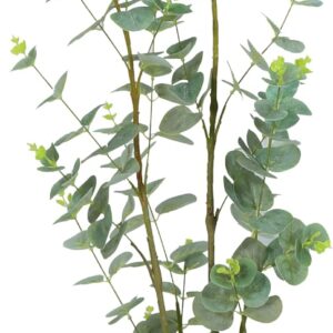 MichaelNoll Artificial Eucalyptus Artificial Plant, Artificial Tree, Artificial Plant, Decoration, in Black Pot, Very Realistic, Green, 80 cm