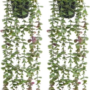 Floweroyal Pack of 2 Artificial Hanging Plants Fake Eucalyptus Green Plants in Pot Small Artificial Plants for Shelf Wall Decoration Indoor and Outdoor Use