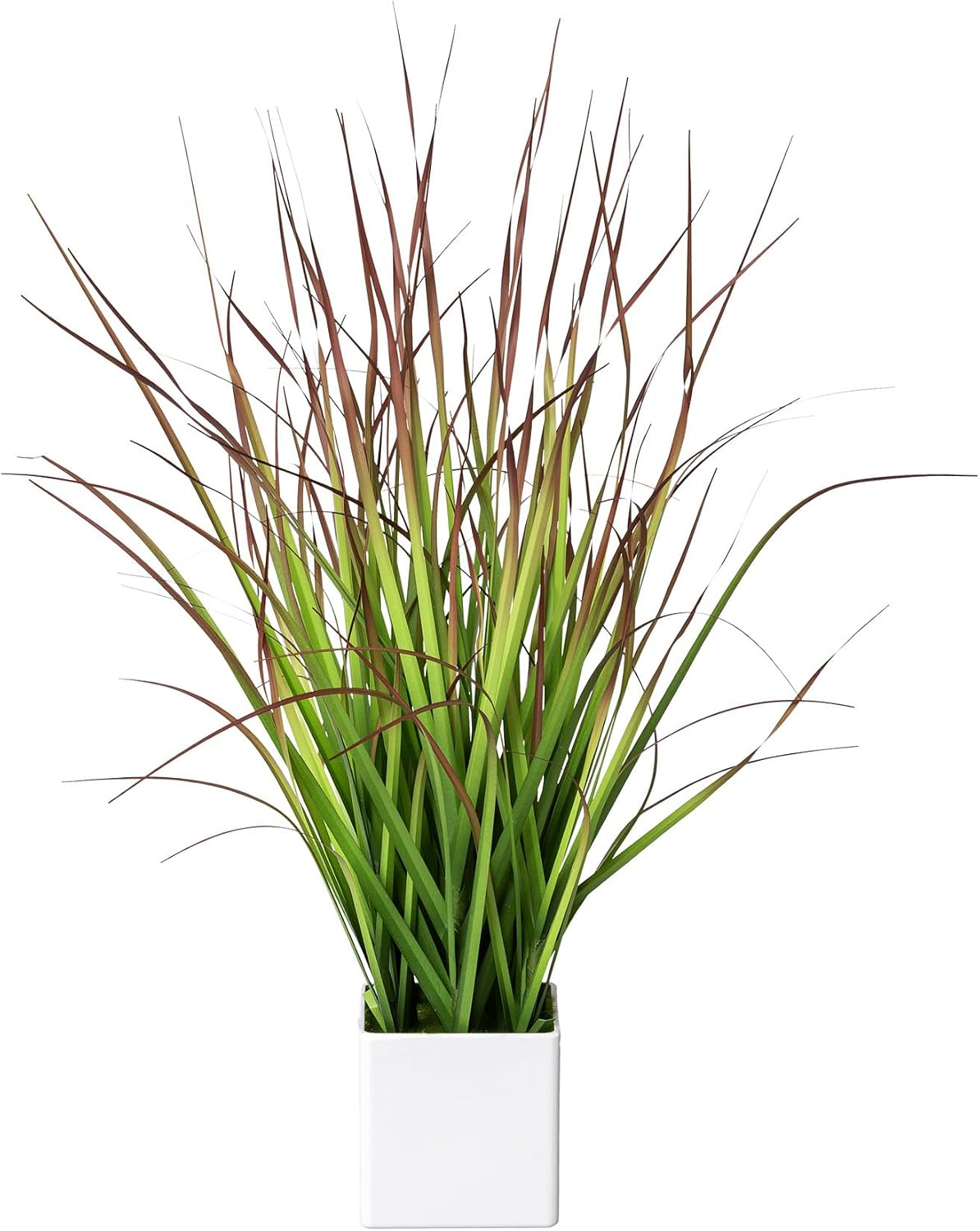 Artificial Grass Bush Green/Red 46 cm in White Square Pot I Lifelike Artificial Decorative Grass for Indoor I High-Quality & Decorative Plant I Artificial Plant in Pot