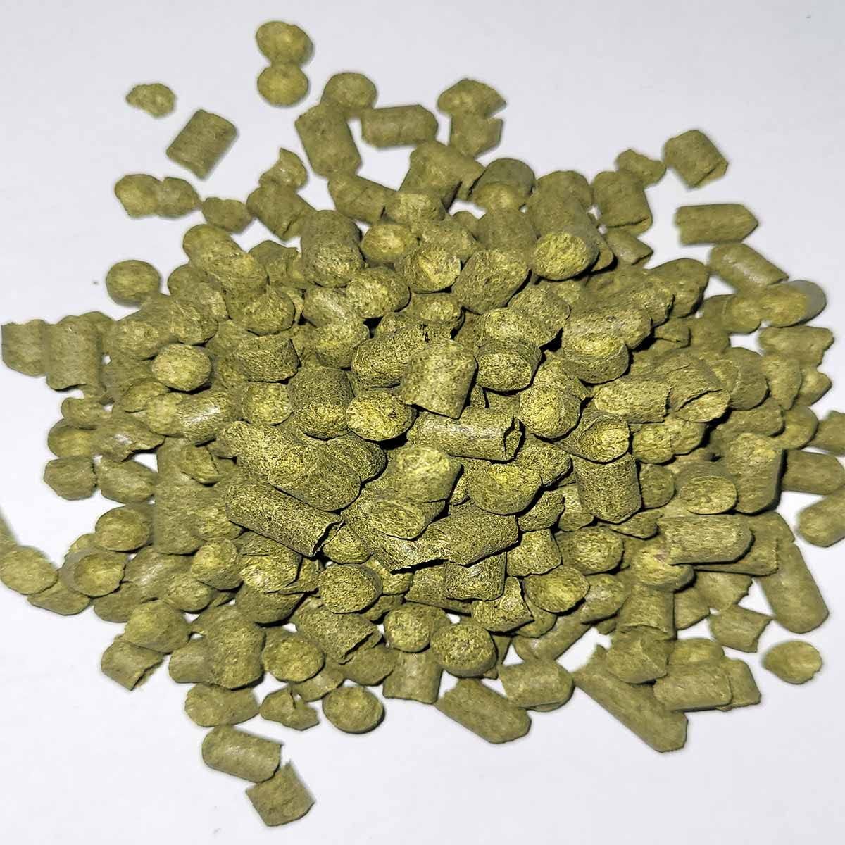 Pils malt mixture underfermented with hops and brewer's yeast (20 litres, unscraped) – Bild 2