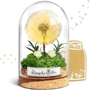 inyeskon Wish filler with LED light, real dandelion in glass, eternal birthday gift for women, girlfriend, girls, gifts for birthday, wedding, youth dedication, Christmas, Valentine’s Day