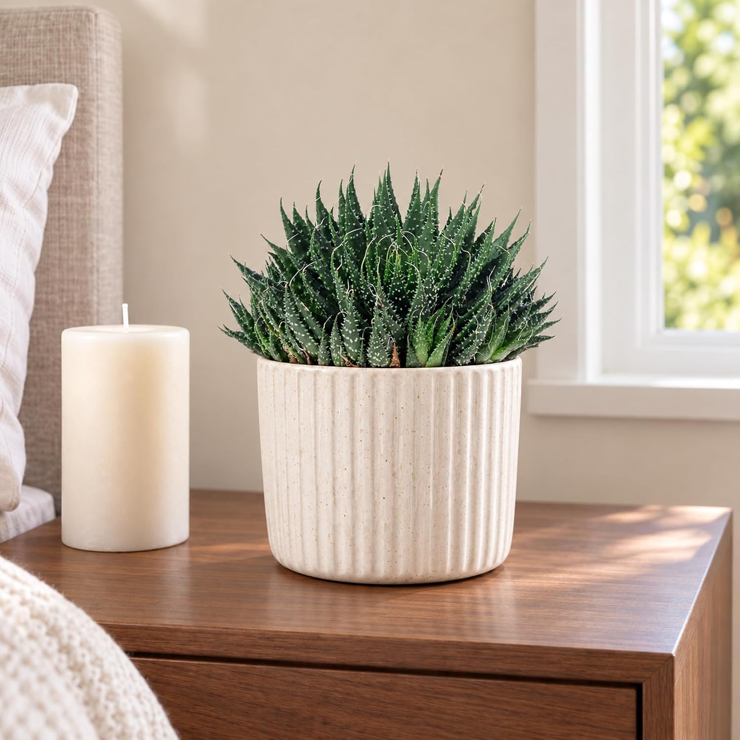 Aloe - Easy-Care Indoor Plant, Aloe Aristata 'Magic Rocks' - Height Approx. 20 cm, Pot Diameter 12 cm – Bild 2