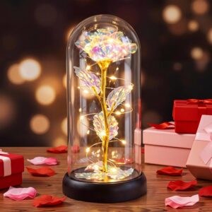 Otlonpe Flower Gifts for Women, Mother’s Day Gifts for Mum, Birthday Gift for Women, Mum, Girlfriend, Grandma, Eternal Rose in Glass with LED Light, Mother’s Day Gift for Mum Grandma (Rainbow)