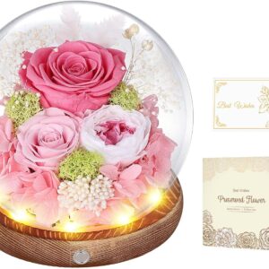 Eternal Rose in Glass Pink with LED Infinity Rose Real Flower for Women