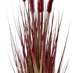 Fox Tail Grass in Pot Grass Artificial Plant Artificial Grass Ornamental Grass Green Plants Grass Bundle Grass Bundle Shore Grass Bush Decorative Grass Solitaire Grass Autumn Decoration Bristle Millet Panicoideae Sweet Grasses