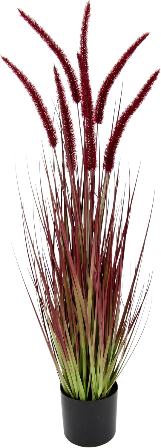 Fox Tail Grass in Pot Grass Artificial Plant Artificial Grass Ornamental Grass Green Plants Grass Bundle Grass Bundle Shore Grass Bush Decorative Grass Solitaire Grass Autumn Decoration Bristle Millet Panicoideae Sweet Grasses