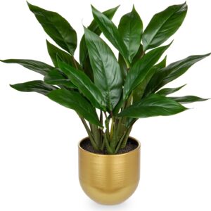 Briful Artificial Plant Like Real Artificial Plant Decorative Plant Calathea Bushy with 22 Leaves in Ceramic Pot Indoor Plant, Height 43 cm, Green