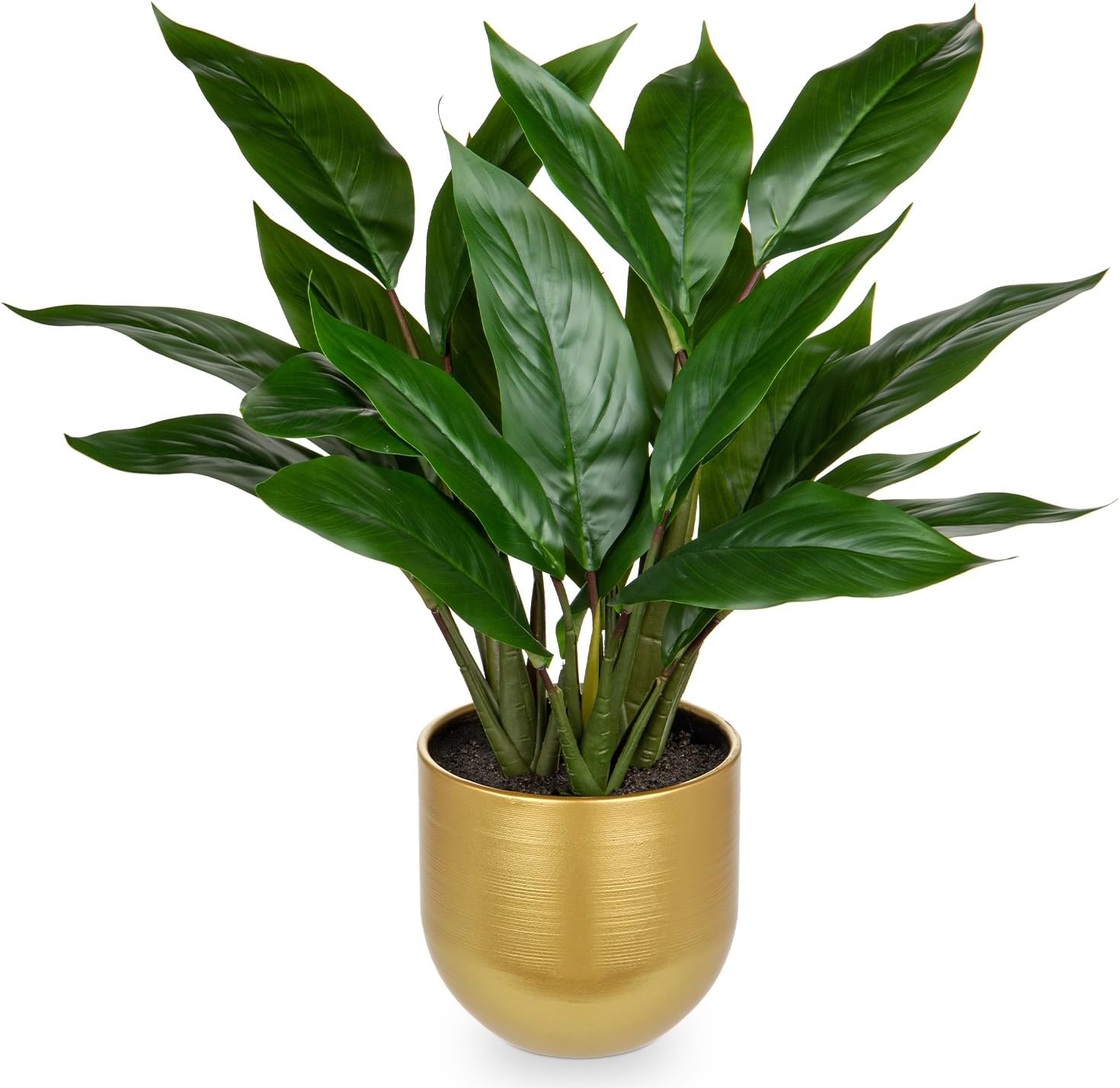 Briful Artificial Plant Like Real Artificial Plant Decorative Plant Calathea Bushy with 22 Leaves in Ceramic Pot Indoor Plant, Height 43 cm, Green