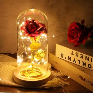 ADAZ Gifts for Women, Eternal Rose in Glass with LED Light, Mother’s Day Gifts for Mum, Beauty and the Beast, Rose Gift for Girlfriend, Wife on Anniversary, Christmas, Valentine’s Day