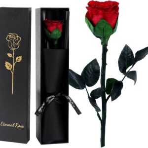 Eternal Infinity Rose Red with Stem, Gifts for Women, Eternal Rose in Gift Box, Preserved Flower for Mum Girlfriend, Birthday Gift, Anniversary Gift Woman (Red) (Vermilion)