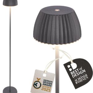 BRILONER Riffle LED Floor Lamp, Wireless, IP44, with Touch, Dimmable, Memory Function, Replaceable Battery, Battery-Operated, Living Room Reading Lamp, 19 x 124 cm, Anthracite