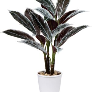 Briful 63 cm Artificial Cordyline Fruticosa Artificial Plant Large Decorative Indoor Tropical Plants Artificial Tree in White Pot for Living Room Office Decoration