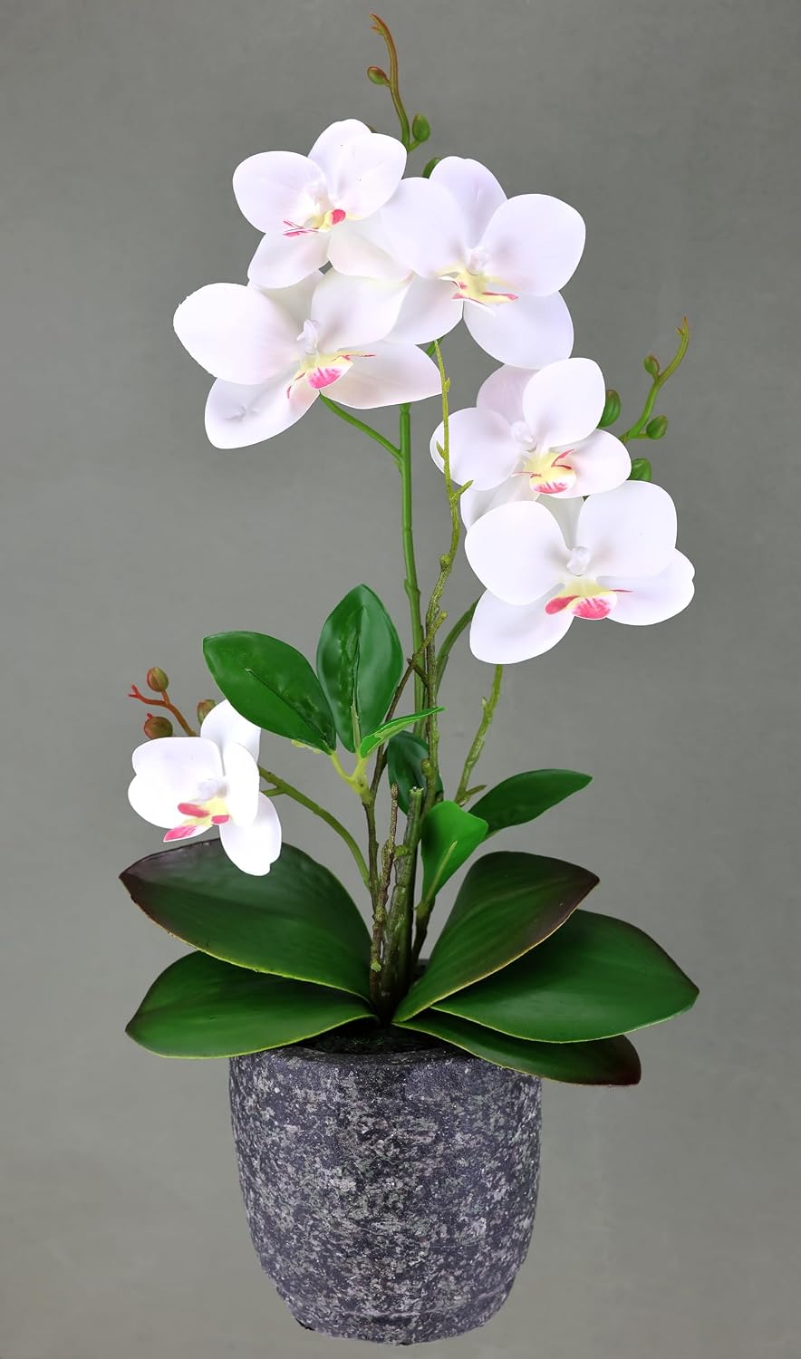 Artificial Flower Butterfly Orchid with Leaves and Aerial Roots in Ceramic Pot Artificial Flower Artificial Orchid Phalaenopsis with Planter Artificial Plant Wedding Decoration Silk Flower Real Touch Flower – Bild 3