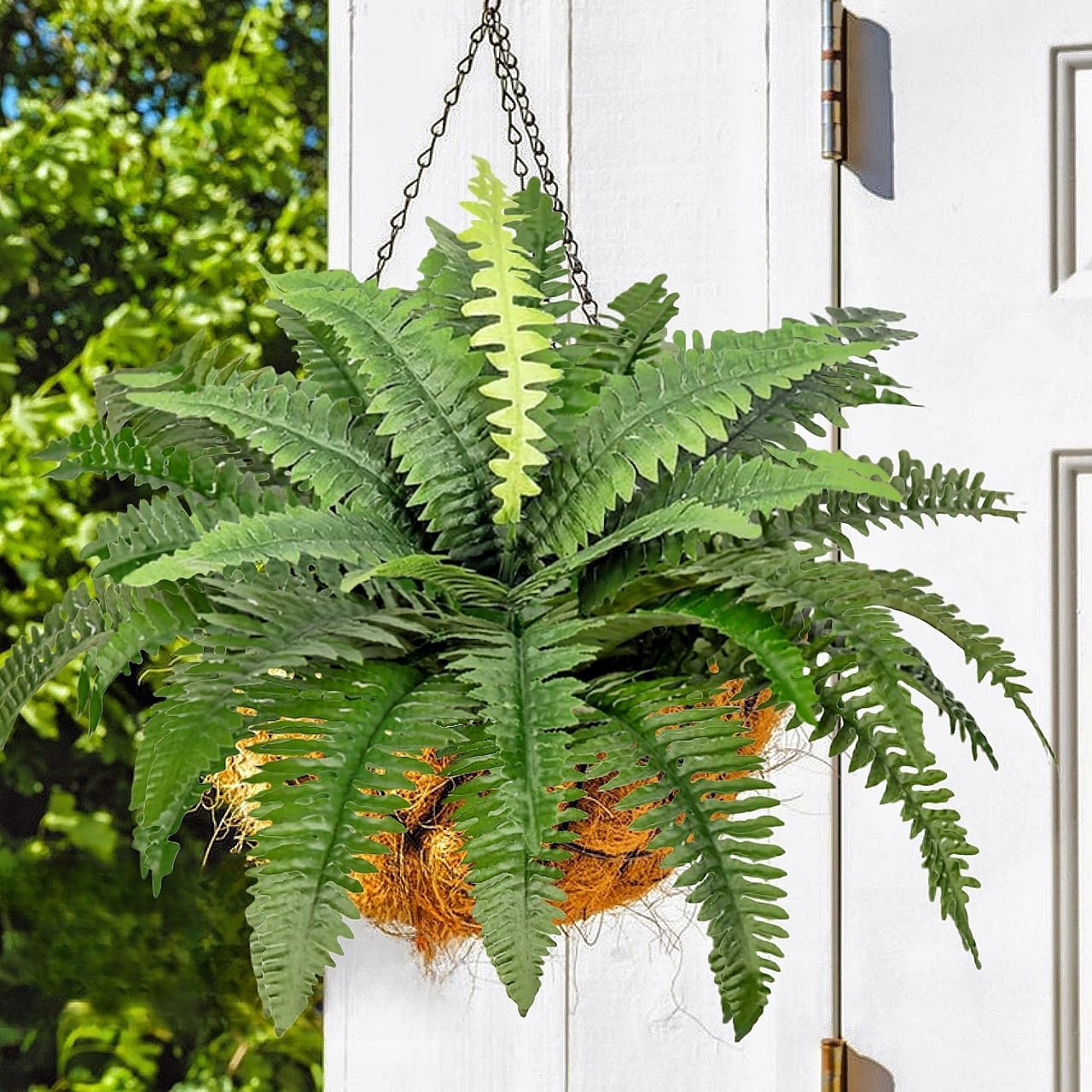 Pack of 3 Artificial Plants Ferns for Outdoor and Indoor Use 76 cm Green Artificial Boston Fern Balcony Plants Artificial Plants Artificial Fern Bushes Home Decoration Garden Patio Balcony Entrance Office – Bild 6