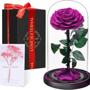 Premium Eternal Rose in Glass with Gift Box, Real Preserved Flower Handmade for 5 Years, Unique Gift for Wife, Mum as a Token of Love for Valentine’s Day, Mother’s Day, Christmas, Purple