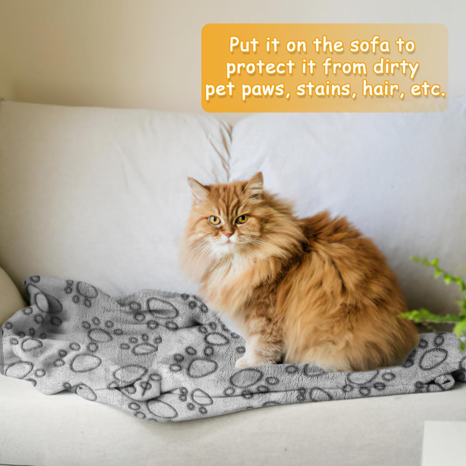 Neerow Pack of 3 Dog Blankets, 76 x 52 cm, Cat Blanket, Fluffy Sofa – Bild 4